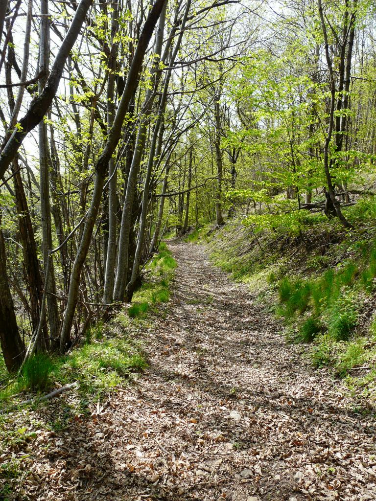 Ardeche, 03-05-09, 11-00.jpg
